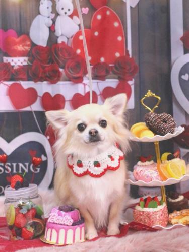 20250208とわくん